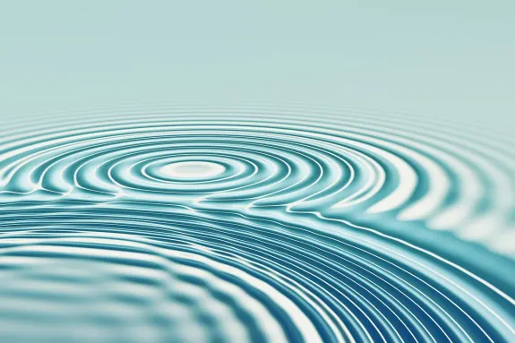 BetBeard Kasino Tuki